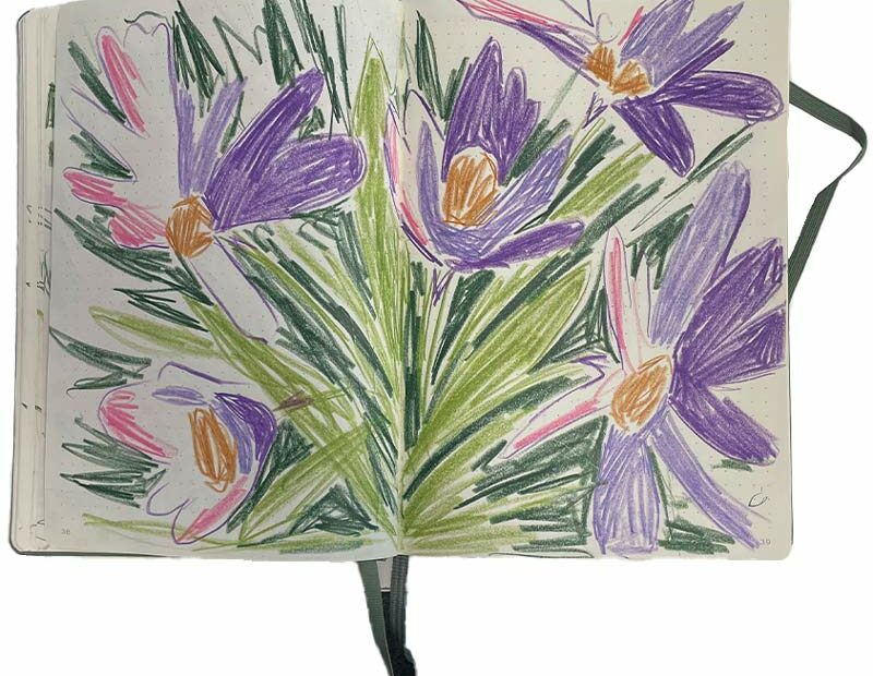 dessin crayons de couleurs Claire