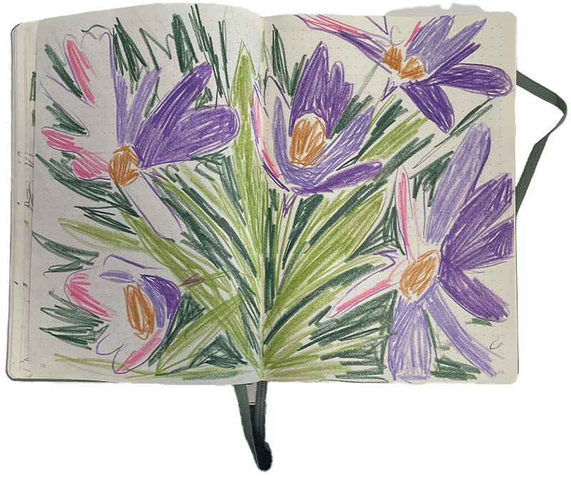 dessin crayons de couleurs Claire